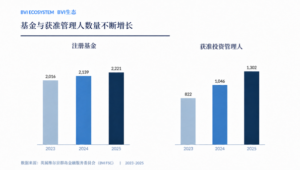 2025 年 BVI 与开曼注册主体数据观察：数字背后的信心-BVI：新设增长势头明显，活力不止于公司.png